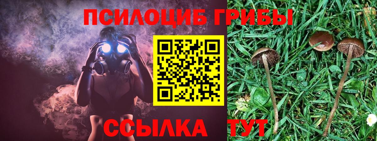 Октябрьский  Псилоцибиновые грибы прущие грибы  Вход с VPN 